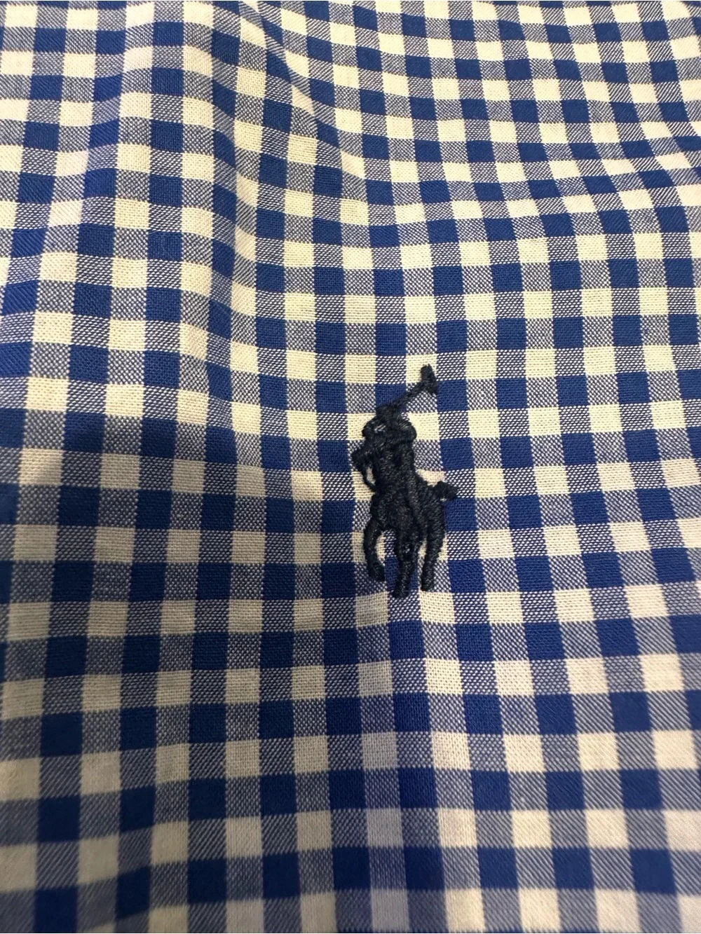 Polo by Ralph Lauren Blue Gingham Button-Down Shirt